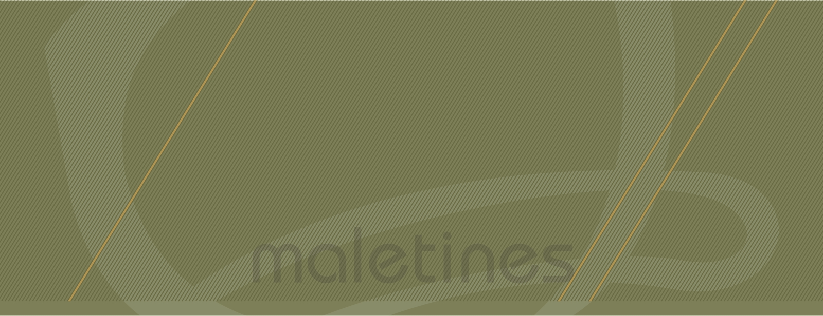 fondo maletines